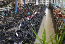 Grösste Gravelbike-Auswahl der Schweiz – Bei Velo Zürich gibt es diverse Modelle von verschiedenen Marken ab Lager sofort fahrbereit