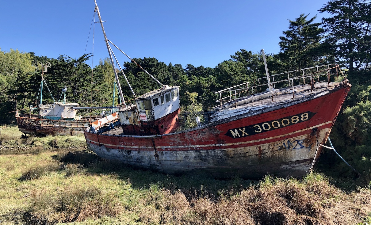 Cruiser Urban von Riese & Müller - Velo Zürich